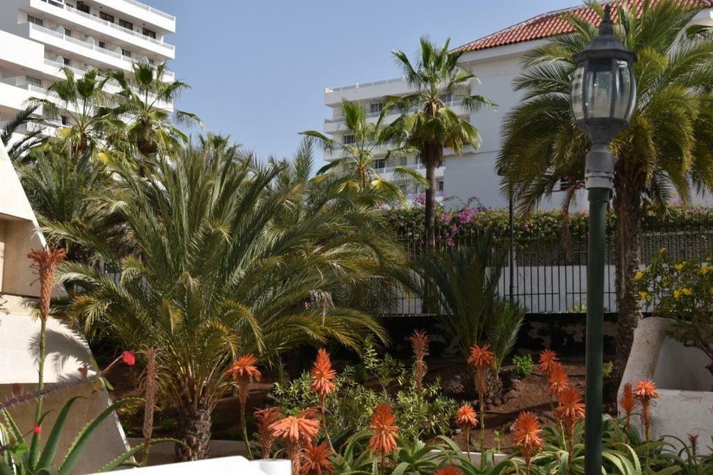 Apartamento Las Veronicas Arona  Eksteriør billede